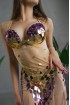 Professional bellydance costume (Classic 361A_1)